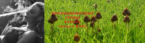 MDMA Premium VHQ Нея