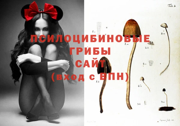 ешки Надым