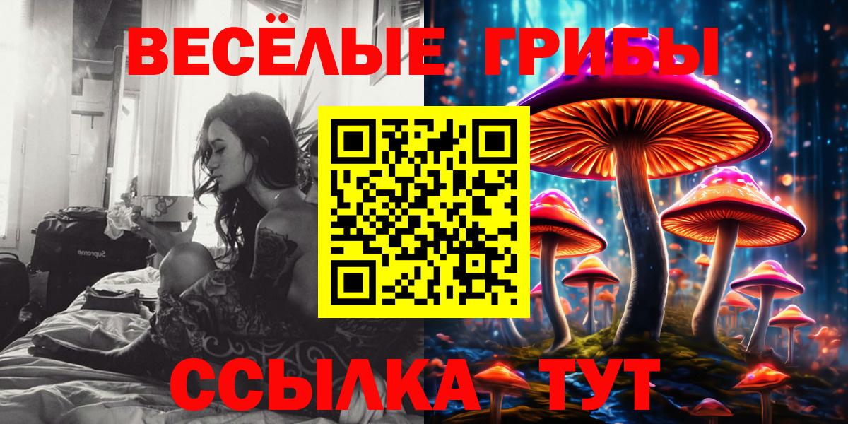 Псилоцибиновые грибы прущие грибы Рославль