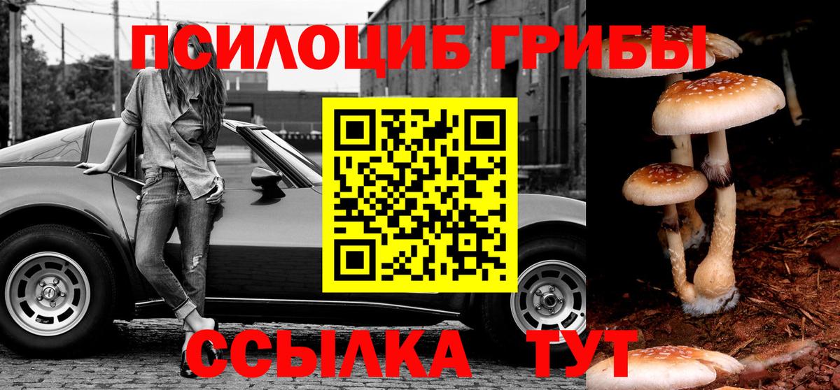 дарнет шоп  Псилоцибиновые грибы мицелий  Вход с VPN  Рославль  Псилоцибиновые грибы ЛСД 
