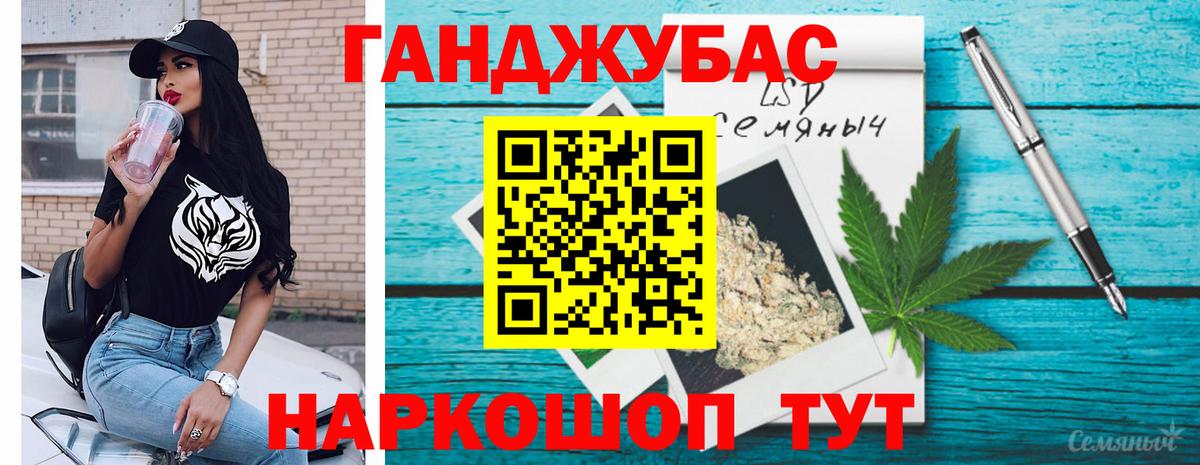 Конопля сатива Рославль